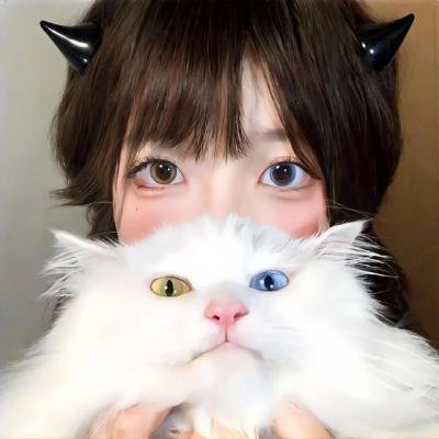超急情圣